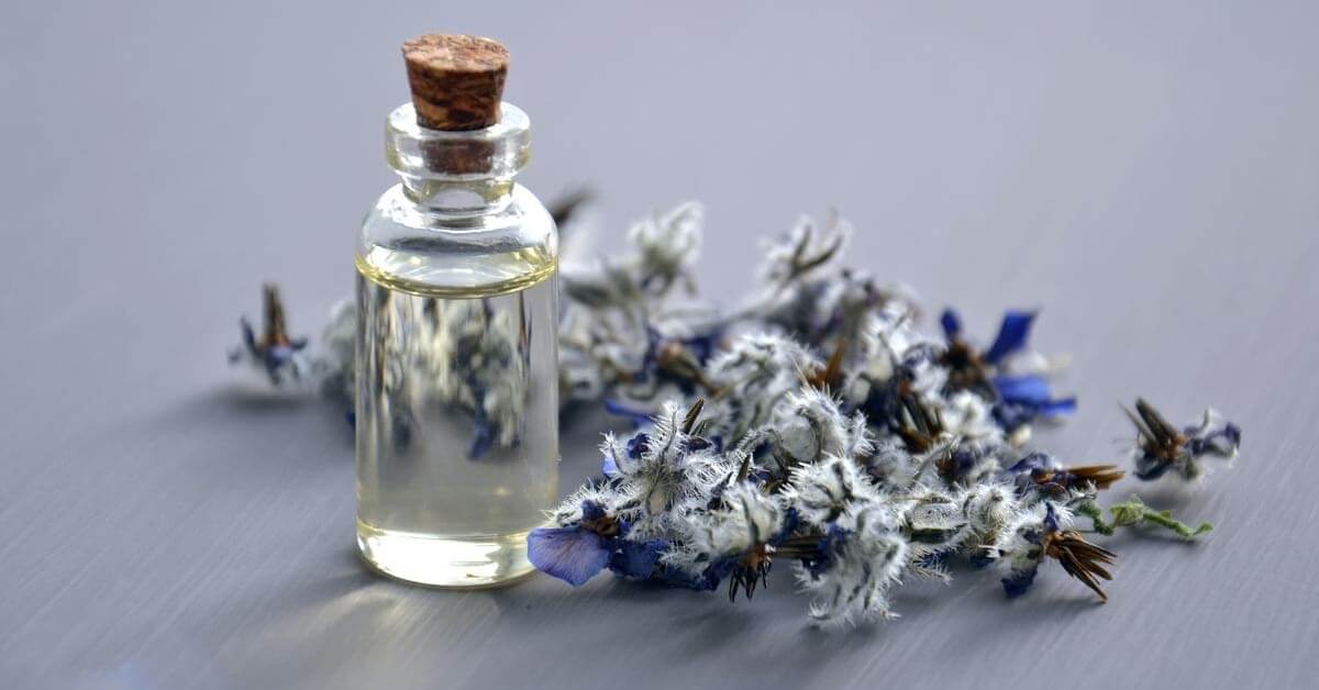 Flavour and fragrance developer attacked by Clop ransomware