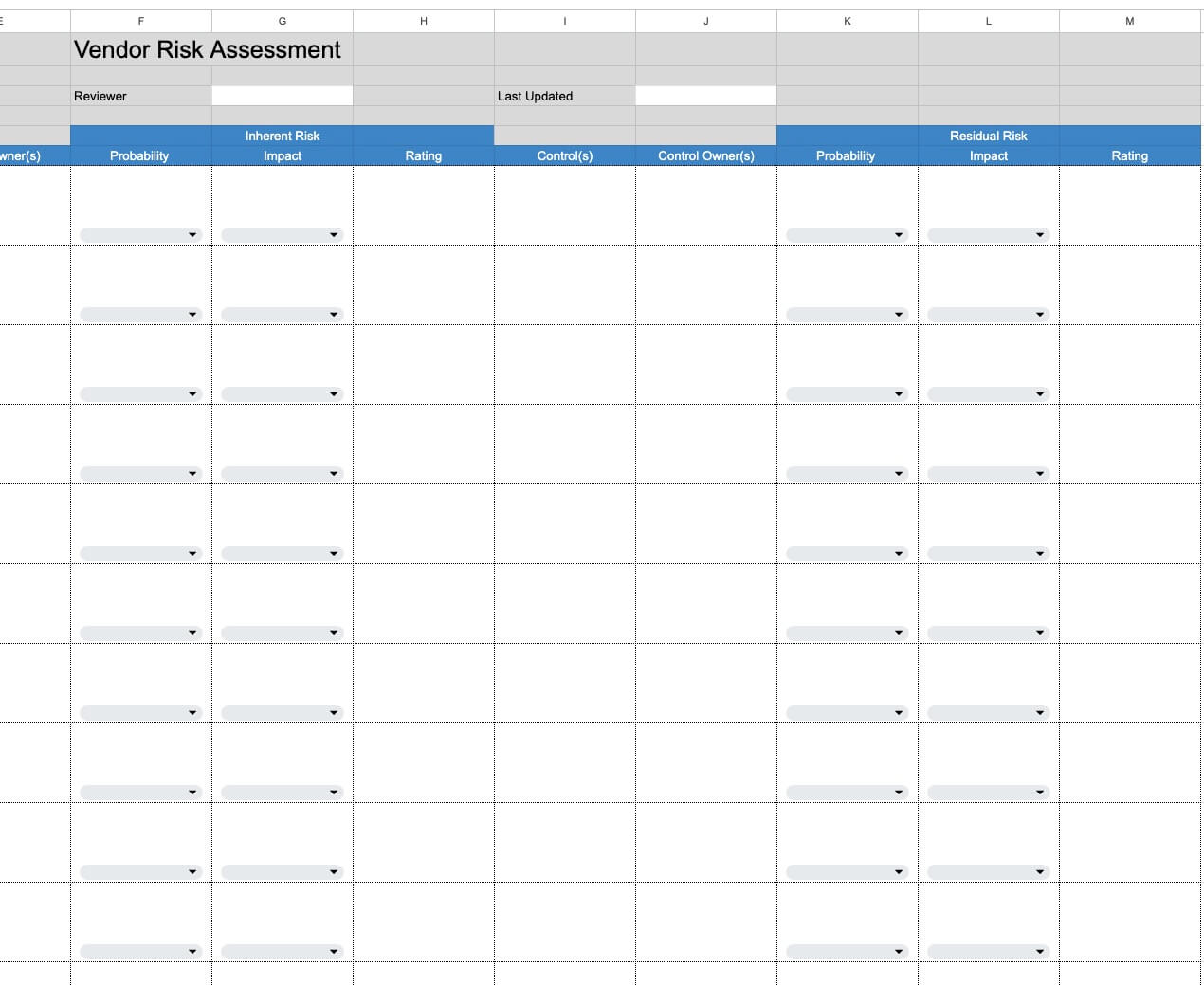 VRM assessment matrix template