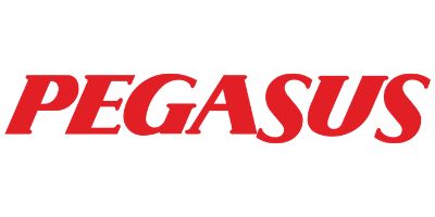 pegasus airline logo