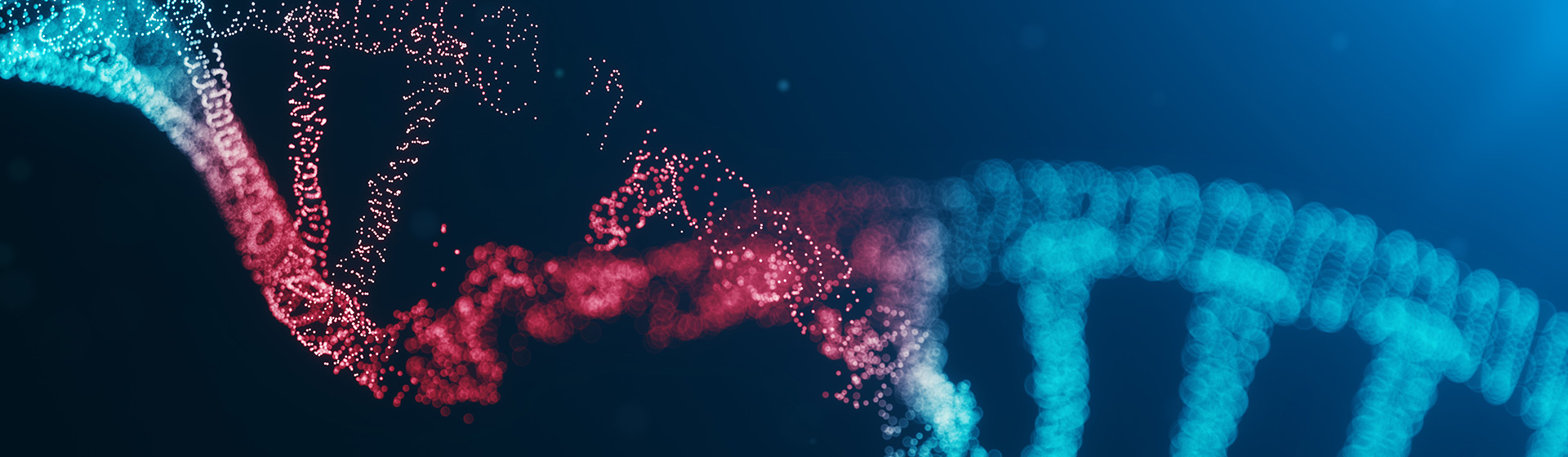 AdobeStock