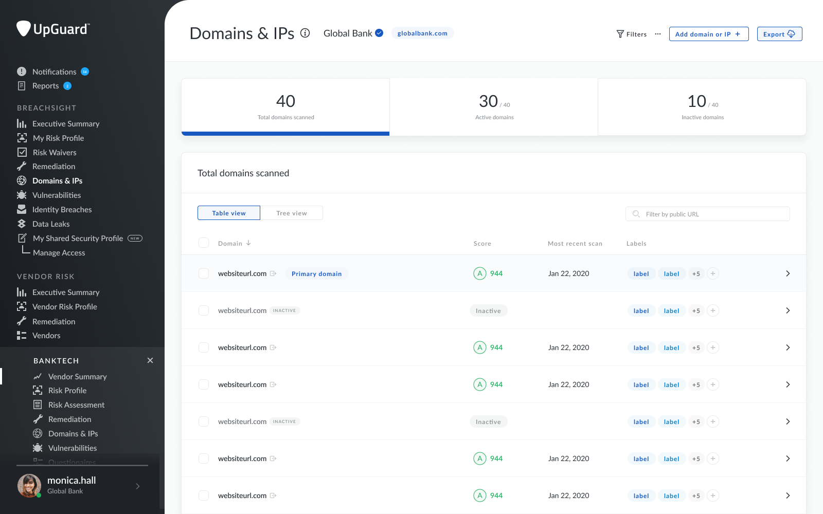 Domains & IPs Table View