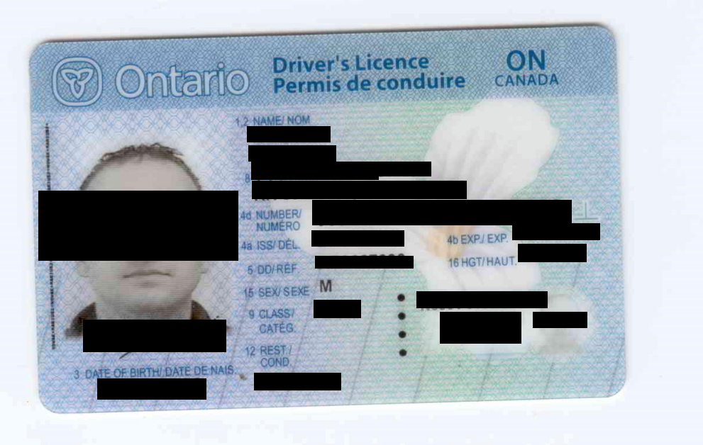 Redacted screenshot of a drivers license scan contained in the Level One data.